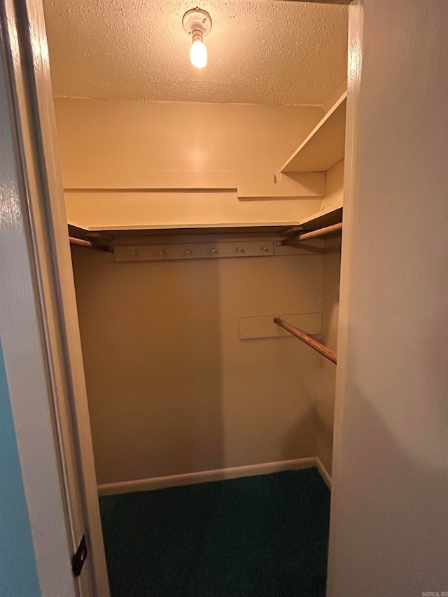 spacious closet with carpet flooring