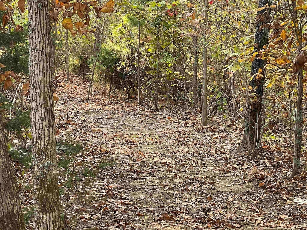 TBD Lower Janes Creek Rd, Ravenden Springs, AR 72460