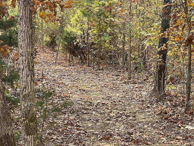 TBD Lower Janes Creek Rd, Ravenden Springs, AR 72460