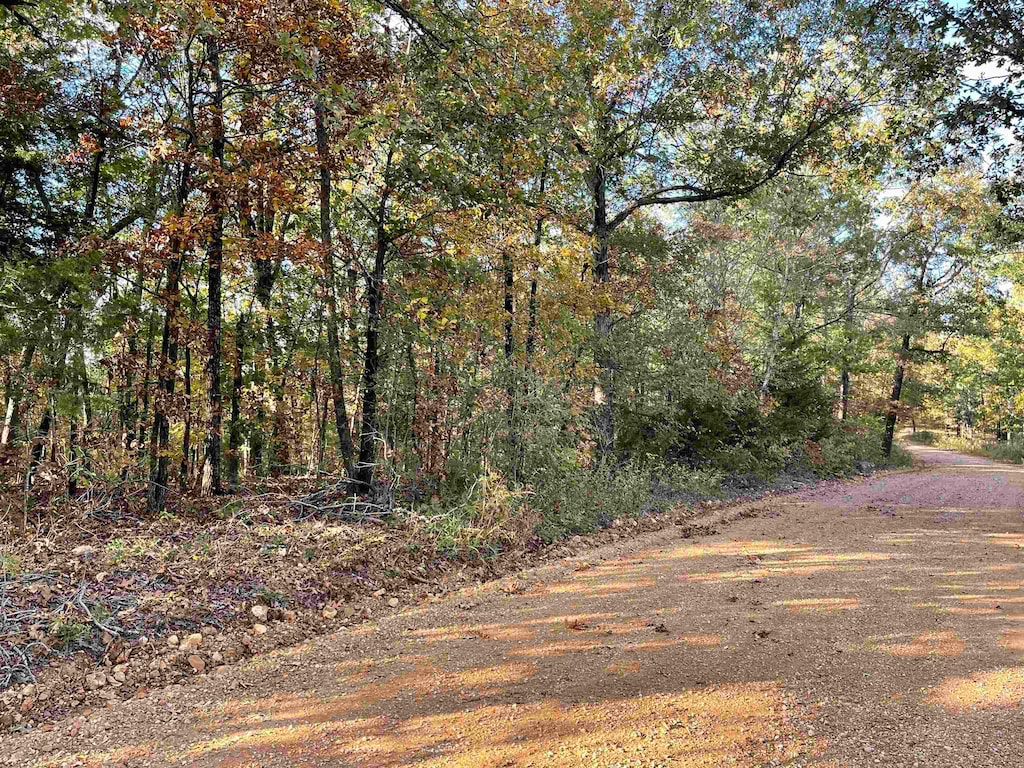 TBD Lower Janes Creek Rd, Ravenden Springs, AR 72460
