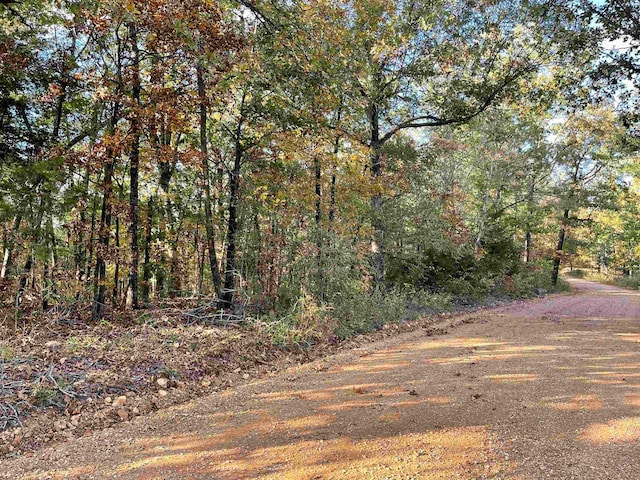 TBD Lower Janes Creek Rd, Ravenden Springs, AR 72460