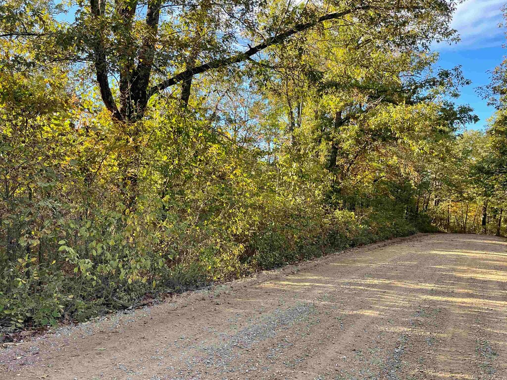 TBD Lower Janes Creek Rd, Ravenden Springs, AR 72460