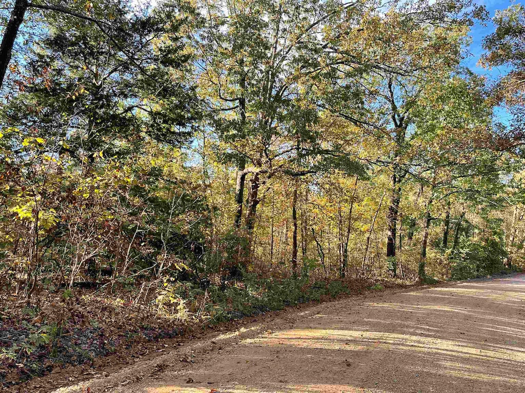TBD Lower Janes Creek Rd, Ravenden Springs, AR 72460