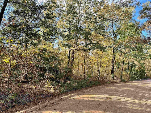 TBD Lower Janes Creek Rd, Ravenden Springs, AR 72460