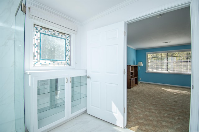 bathroom featuring ornamental molding