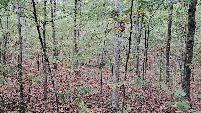 Address Not Disclosed, De Valls Bluff AR, 72041 land for sale