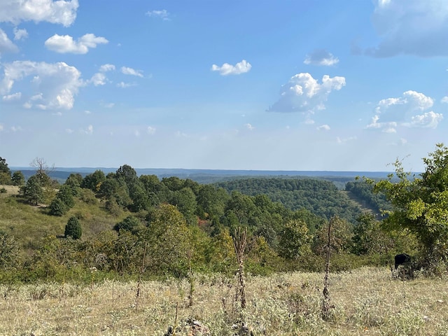 TBD Tower Rd, Ash Flat AR, 72513 land for sale