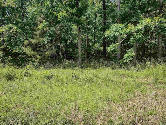 LOT3305 Ohio Dr, Hot Springs AR, 71913 land for sale