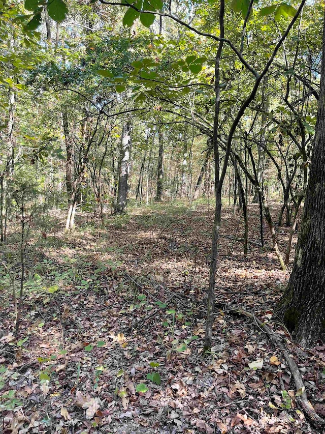 Listing photo 2 for 20ACRES Congo Rd, Benton AR 72019