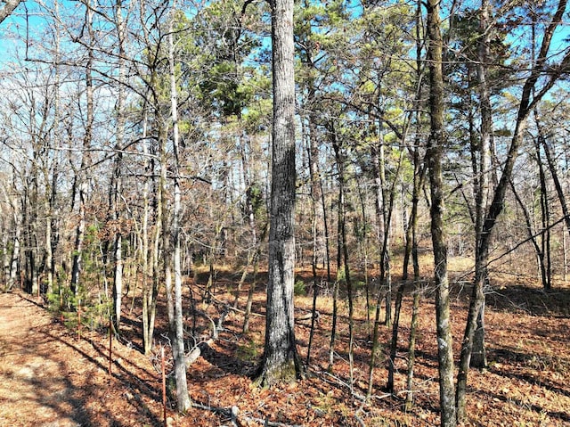 Listing photo 2 for TRACT3 Hwy 8 E, Mena AR 71953