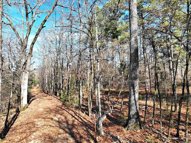 Listing photo 3 for TRACT3 Hwy 8 E, Mena AR 71953