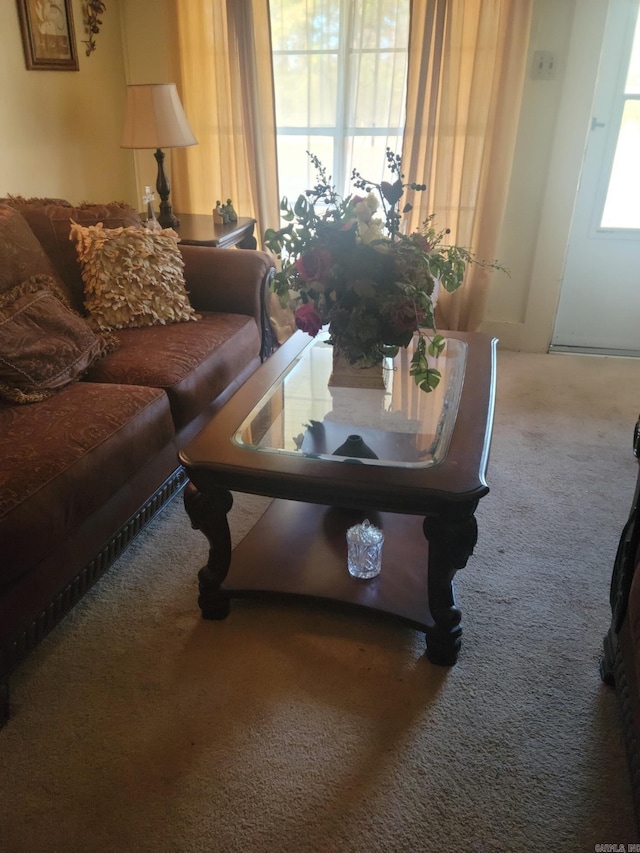 living room featuring carpet