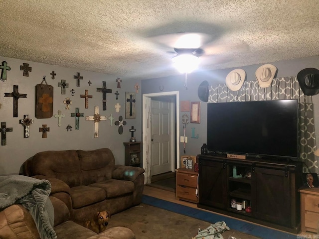 living room with a textured ceiling