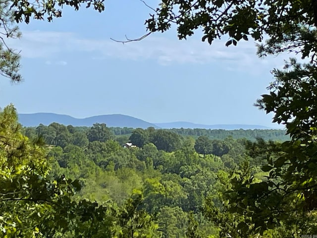 view of mountain feature