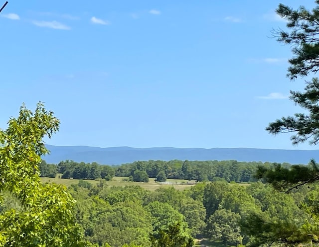 view of mountain feature