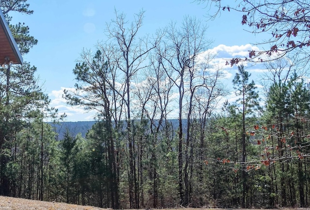 property view of mountains