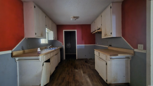 10085 James Dr, Havana, AR 72842 - kitchen featuring sink, white cabinets, dark wood-type flooring, and a textured ceiling