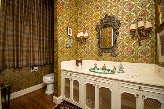 bathroom with vanity, wood-type flooring, and toilet