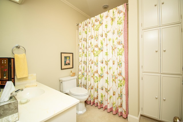 bathroom with toilet and vanity