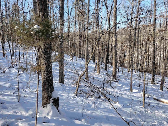 view of snowy landscape