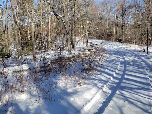 view of yard layered in snow