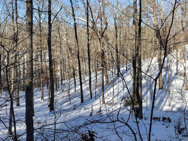 view of snowy landscape