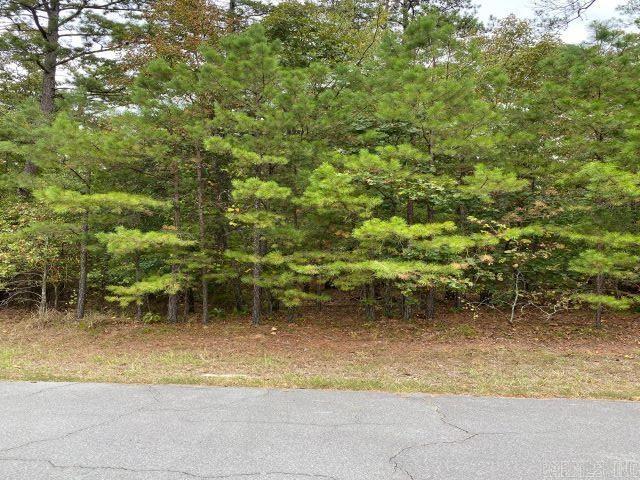 4 Loyola Pl, Hot Springs Village AR, 71909 land for sale