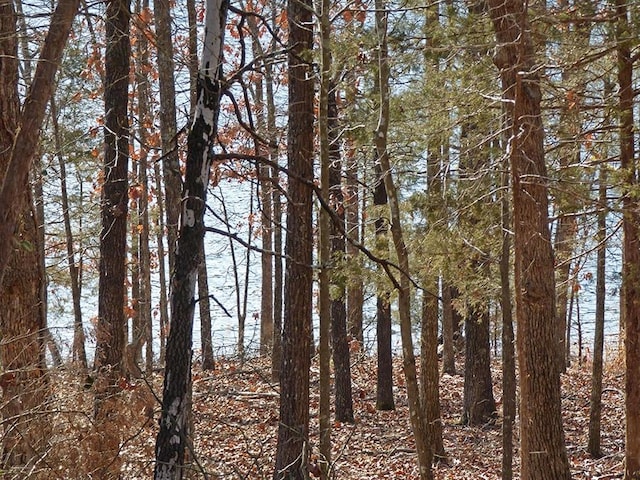 Listing photo 2 for Keosauqua Dr, Cherokee Village AR 72529