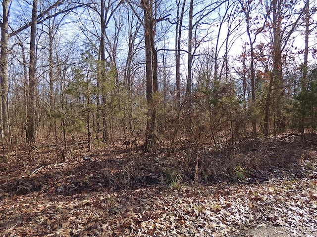 Thule, Cherokee Village AR, 72529 land for sale