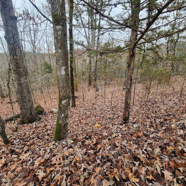 Listing photo 3 for L-30B-1 Sioux Dr, Cherokee Village AR 72529