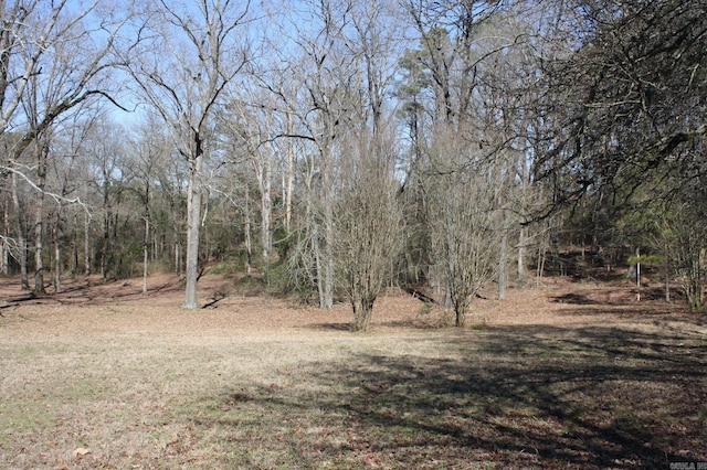 Address Not Disclosed, Nashville AR, 71852 land for sale