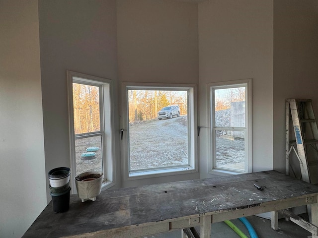 misc room with plenty of natural light and a high ceiling