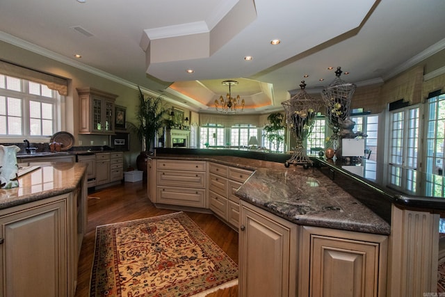 kitchen with a kitchen island, a notable chandelier, dark hardwood / wood-style floors, and a tray ceiling