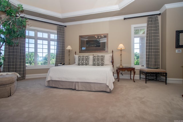 bedroom featuring crown molding, a raised ceiling, and light carpet