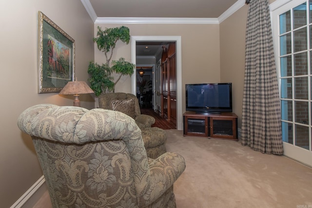 interior space featuring ornamental molding and carpet floors