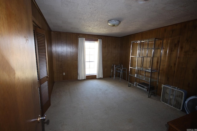 misc room featuring wood walls and carpet floors