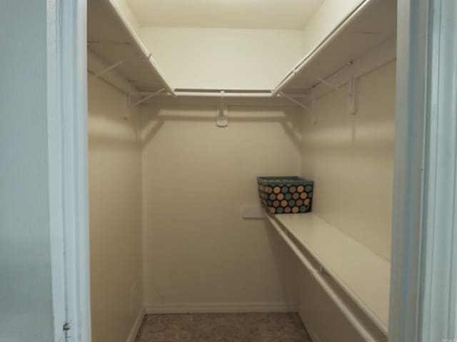 view of walk in closet