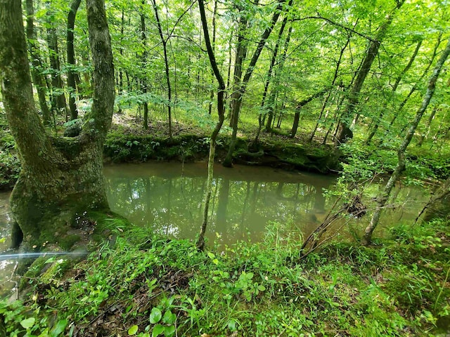 view of water feature