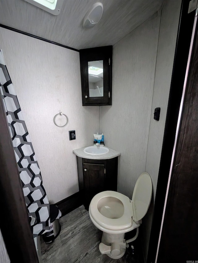 bathroom featuring toilet, vanity, and hardwood / wood-style flooring