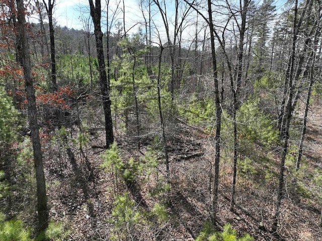 Listing photo 2 for TRACT11 Grassy Ln, Mena AR 71953