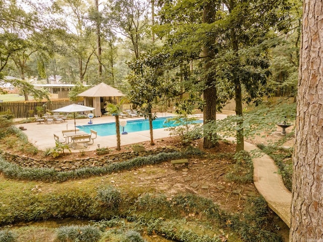 view of pool with a patio