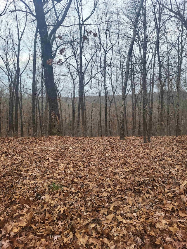 view of nature featuring a wooded view