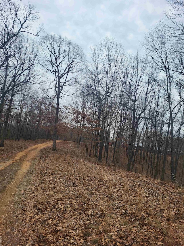 view of road