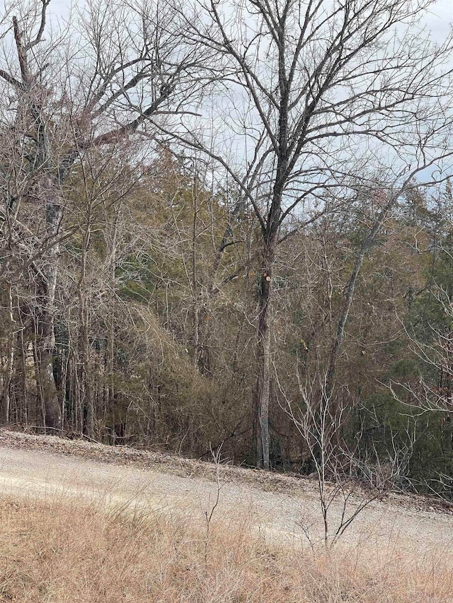 000 Green Haven Rd, Mountain Home, AR 72653