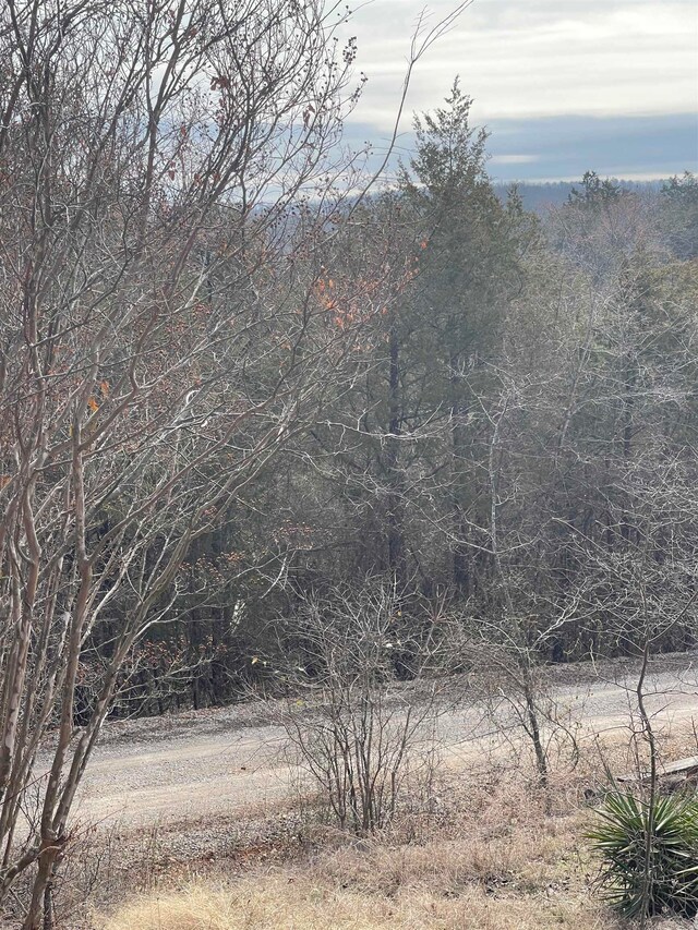 000 Green Haven Rd, Mountain Home, AR 72653