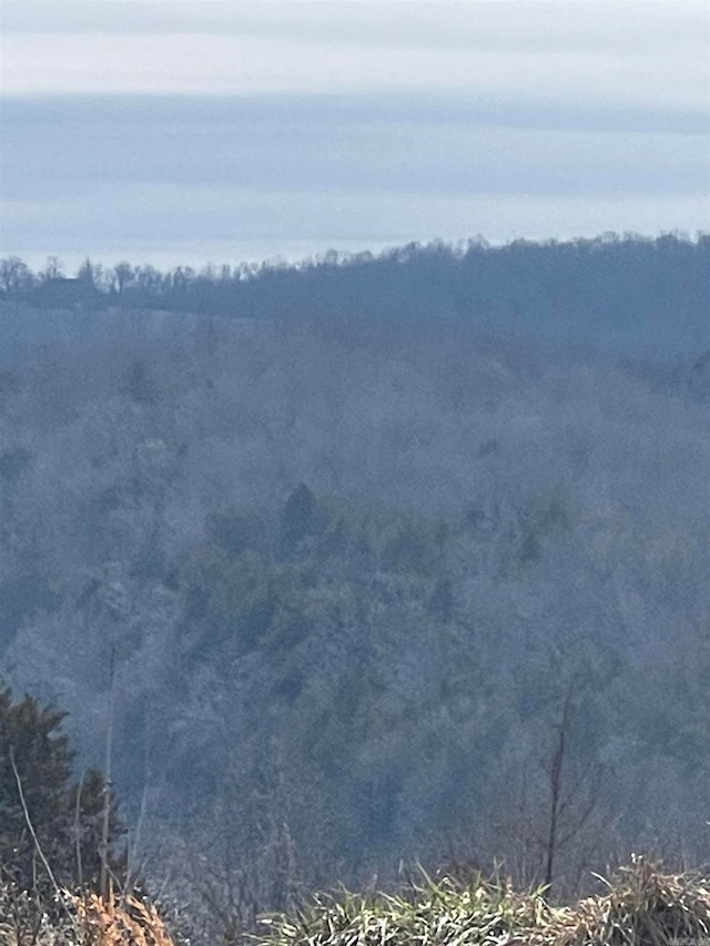 000 Green Haven Rd, Mountain Home, AR 72653
