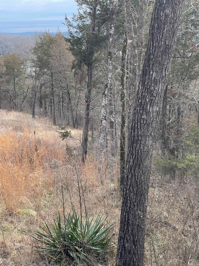 000 Green Haven Rd, Mountain Home, AR 72653