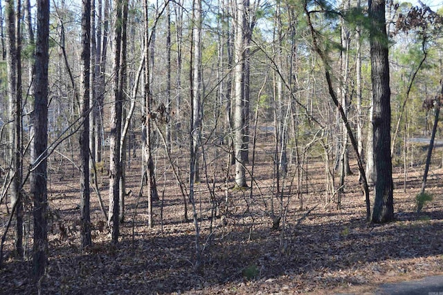 Address Not Disclosed, Hot Springs Village AR, 71909 land for sale