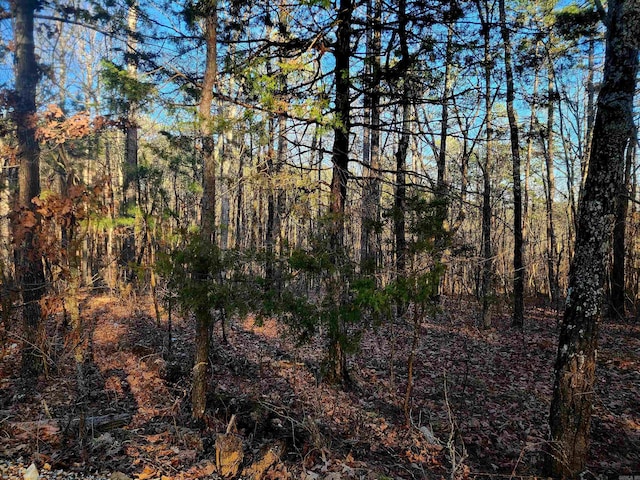 351 Cochran, Mountain View AR, 72560 land for sale