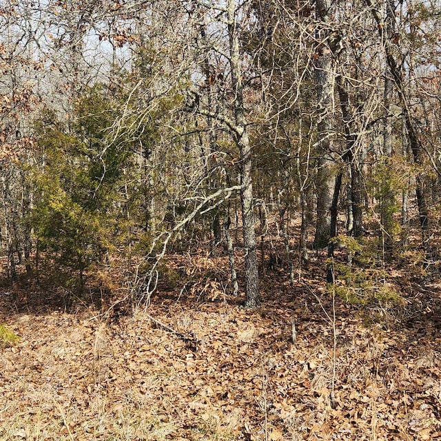 Listing photo 3 for L10B02 Awi Trl, Cherokee Village AR 72529